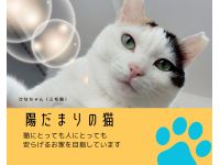 1image
